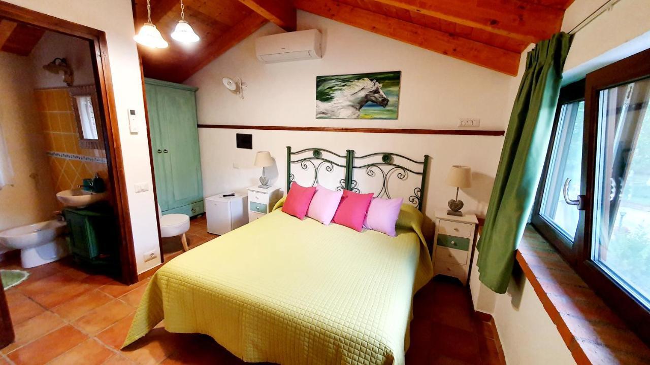 Agriturismo Il Pioppeto Cassino Εξωτερικό φωτογραφία